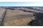 Property photo 3 - LAND AUCTION - 49.5+/- ACRES IN 2 TRACTS IN DEKALB COUNTY, INDIANA